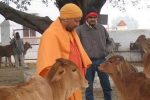 Yogi Adityanath with Cows