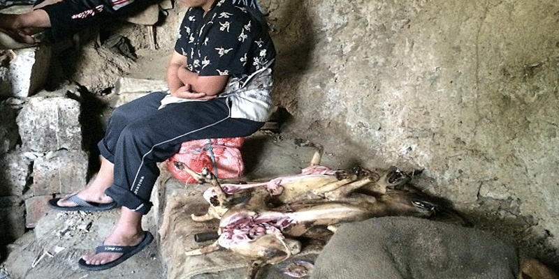 Brutality-at-its-heights-Horrifying-video-unveils-the-illegal-canine-flesh-trade-in-Nagaland2-indialivetoday